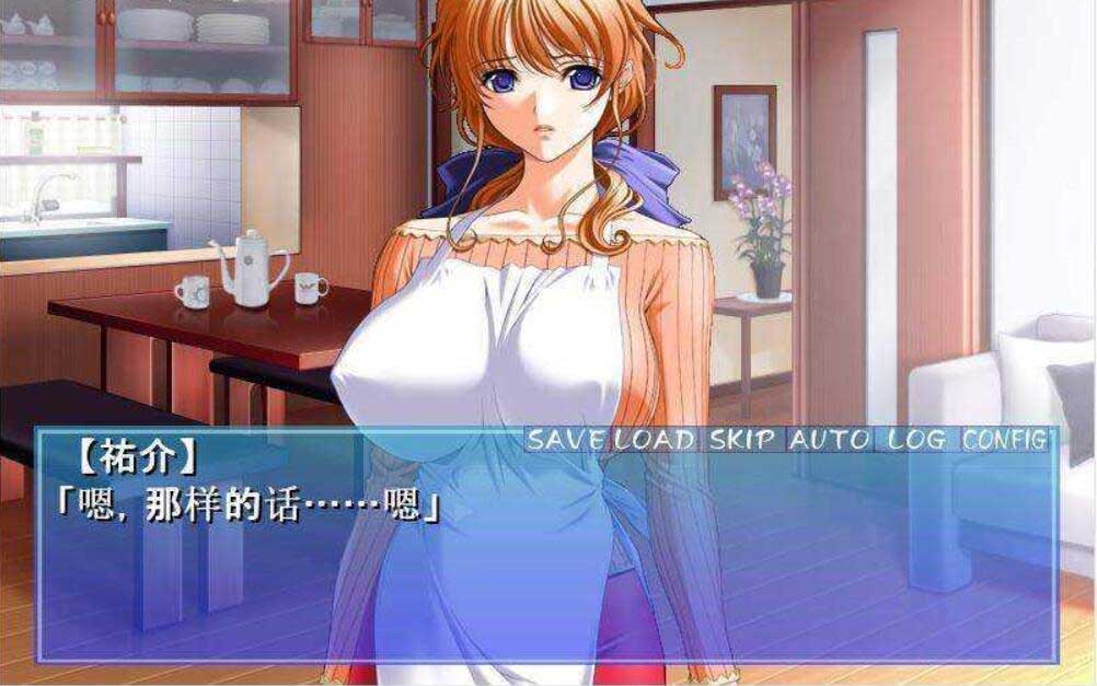  Y母公寓！PC+安卓模拟云汉化版+动画汉化版 [1G]