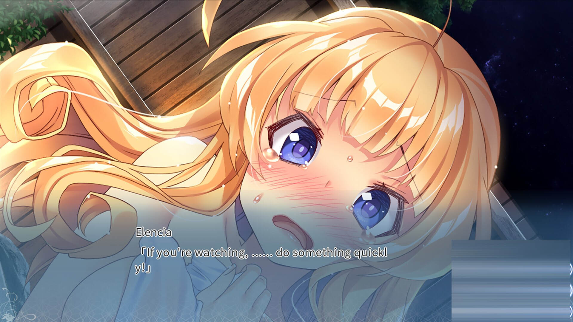 利伯琳公主 Princess of Liberline 官方中文版[2.56G/CV][日系ADV精品/NTR/PC]