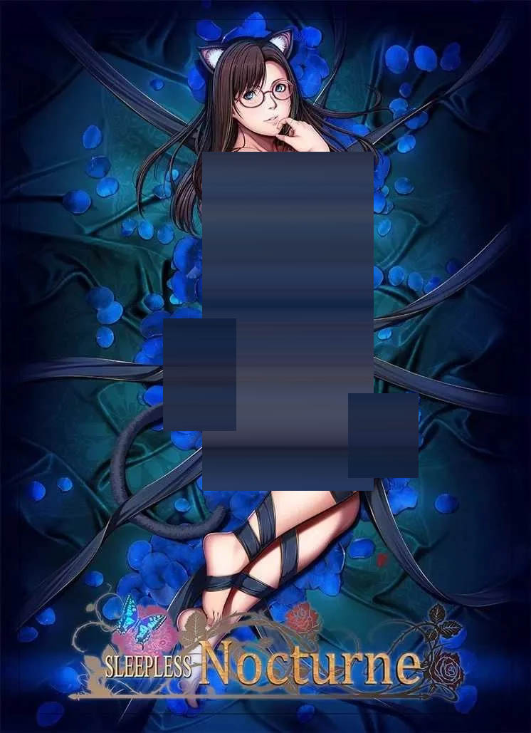 不眠夜曲/SLEEPLESS Nocturne AI汉化版 [2.15GB] [PC][精品ADV/汉化/2D]