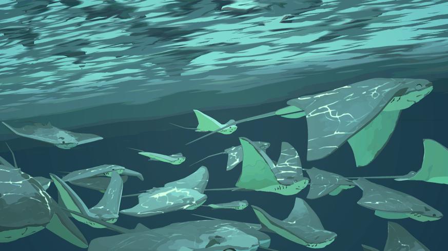 孩子起名用什么软件取名好一点，缺金兔宝宝男孩起名字大全